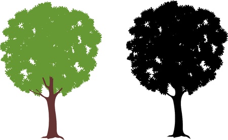 Treesのイラスト素材