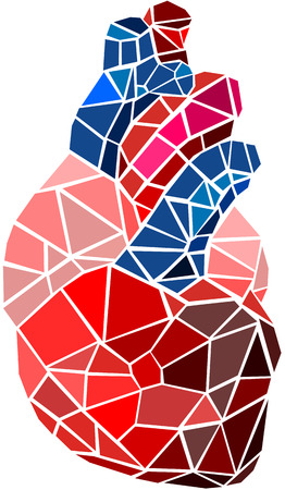 Human heartのイラスト素材