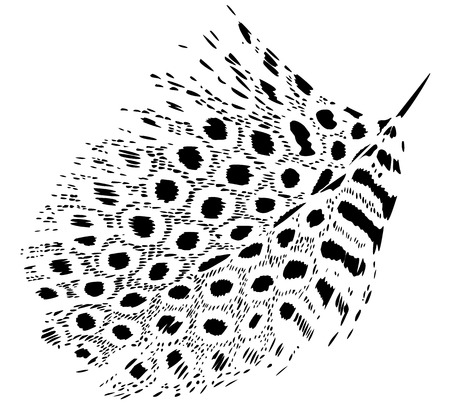 Stylized guinea fowl feather vectorのイラスト素材