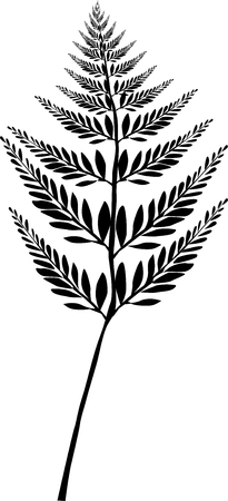 Leaf vector illustrationのイラスト素材