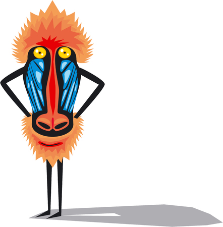 Funny mandrill monkeyのイラスト素材