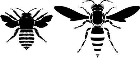 Bee and wasp vector illustrationのイラスト素材