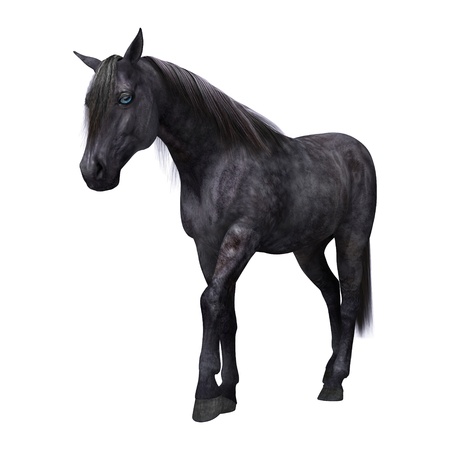 3D digital render of a beautiful black horse with blue eyes isolated on white backgroundの写真素材