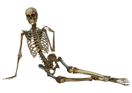 3d digital render of an old human sitting and smiling skeleton isolated on whiteの写真素材