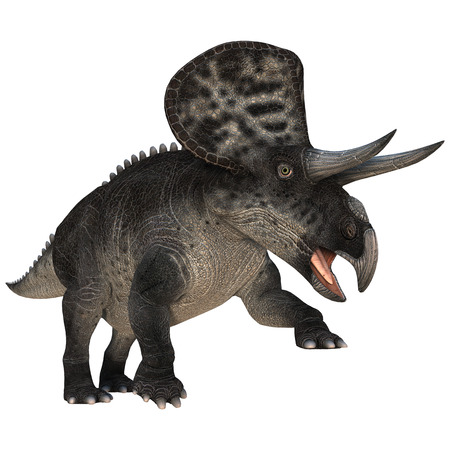 3D digital render of a dinosaur Zuniceratops isolated on white の写真素材