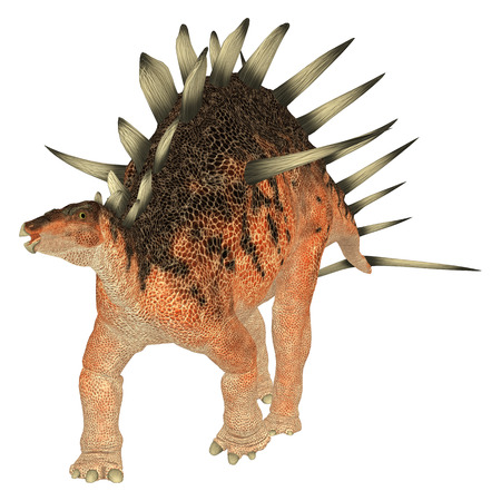 3D digital render of a walking dinosaur Kentrosaurus isolated on white backgroundの写真素材