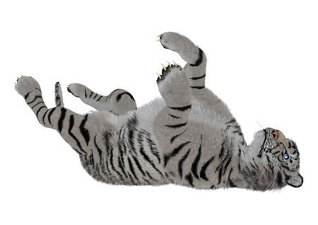 3D digital render of a playing white tiger isolated on white backgroundの写真素材