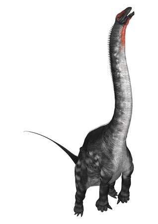 3D digital render of a cute dinosaur apatosaurus isolated on white backgroundの写真素材