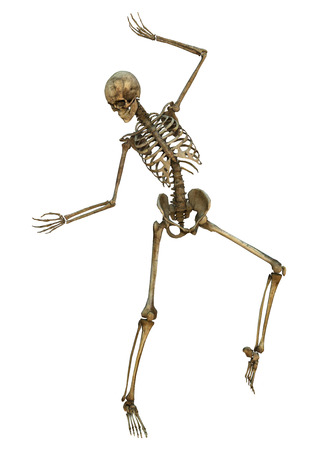 3D digital render of a human dancing skeleton isolated on white background