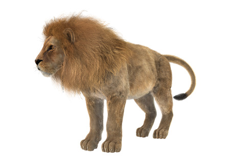 3D digital render of a male lion isolated on white background