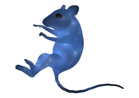 3D digital render of a blue house mouse isolated on white backgroundの写真素材