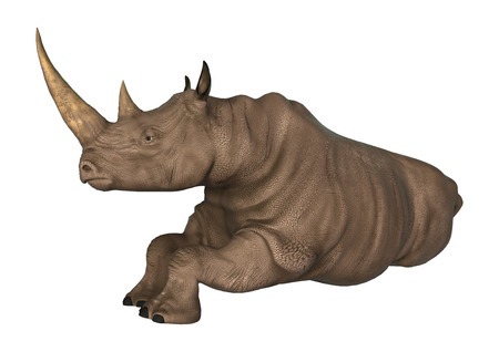 3D digital render of a resting rhinoceros isolated on white backgroundの写真素材