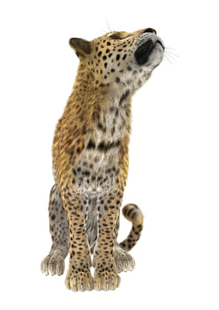 3D digital render of a big cat leopard sitting isolated on white backgroundの写真素材