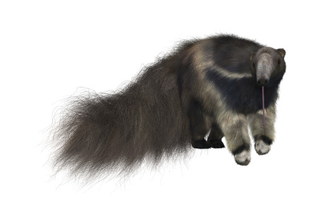 3D digital render of a giant anteater isolated on white backgroundの写真素材
