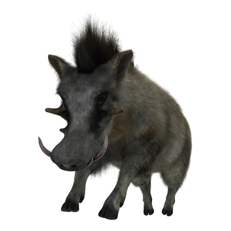 3D digital render of a wild warthog jumping isolated on white backgroundの写真素材