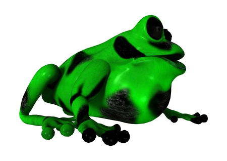 3D digital render of a green cartoon frog isolated on white backgroundの写真素材