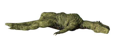 3D digital render of a dinosaur Tyrannosaurus Rex  isolated on white backgroundの写真素材