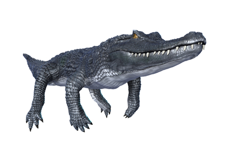 3D digital render of a caiman isolated on white backgroundの写真素材