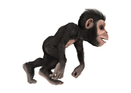 3D digital render of a little chimpanzee monkey isolated on white backgroundの写真素材