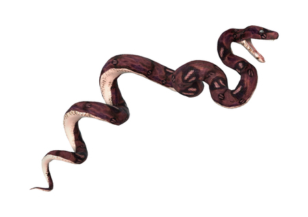 3D digital render of an anaconda snake isolated on white background