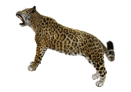 3D digital render of a big cat jaguar isolated on white background