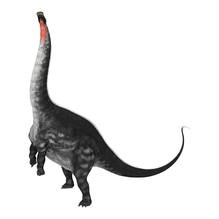 Digital render of a dinosaur Apatosaurus isolated on white backgroundの写真素材