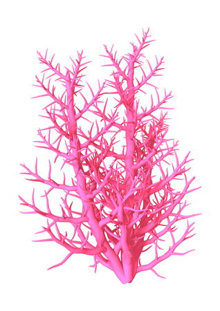 3D Illustration of a pink coral isolated on white backgroundの写真素材