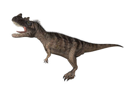 3D rendering of a dinosaur Ceratosaurus isolated on white backgroundの写真素材