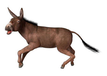 3D rendering of a donkey isolated on white background