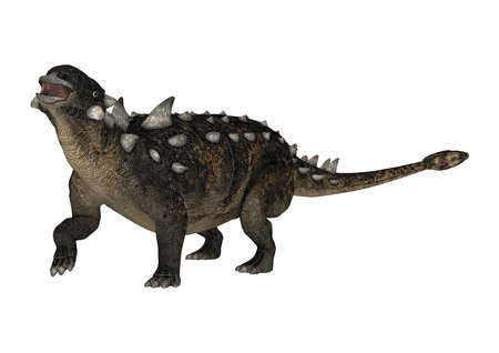 3D rendering of a dinosaur Euoplocephalus isolated on white backgroundの写真素材
