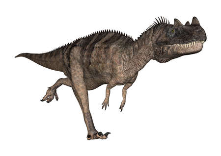 3D rendering of a dinosaur Ceratosaurus isolated on white backgroundの写真素材