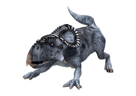 3D rendering of a dinosaur protoceratops isolated on white backgroundの写真素材