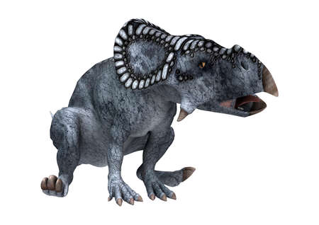 3D rendering of a dinosaur protoceratops isolated on white backgroundの写真素材