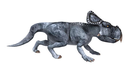 3D rendering of a dinosaur protoceratops isolated on white backgroundの写真素材