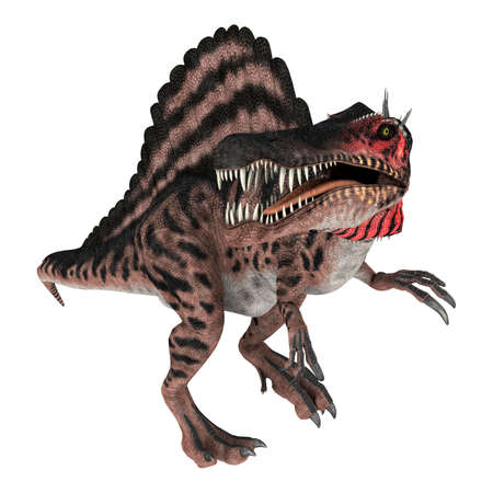 3D digital render of a Cretaceous dinosaur Spinosaurus or spiny lizard isolated on white backgroundの写真素材