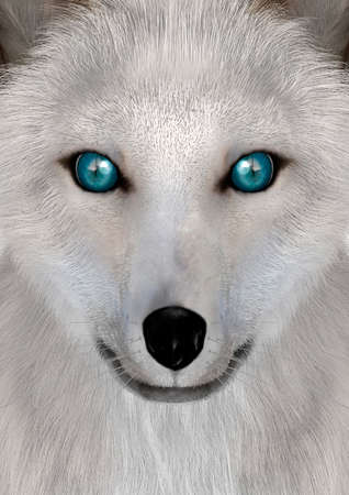 3D rendering of a head of an Arctic fox, closeup