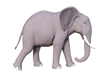 3D rendering of an elephant isolated on white backgroundの写真素材