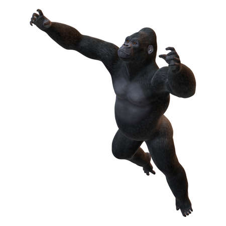 3D rendering of a Gorilla, a herbivorous ape, isolated on white backgroundの写真素材