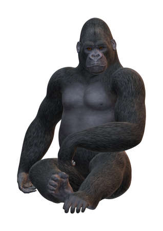 3D rendering of a Gorilla, a herbivorous ape, isolated on white backgroundの写真素材