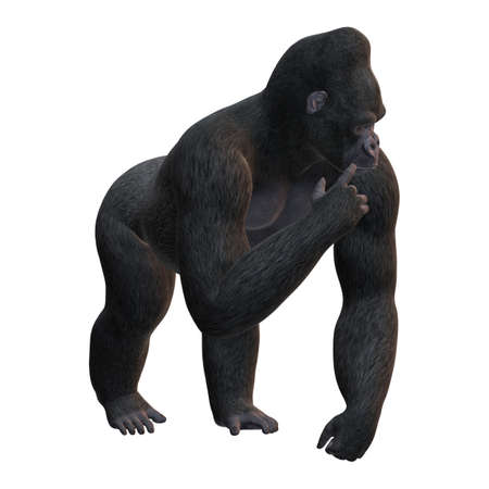 3D rendering of a Gorilla, a herbivorous ape, isolated on white backgroundの写真素材