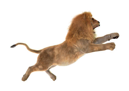 3D rendering of a male lion jumping isolated on white backgroundの写真素材
