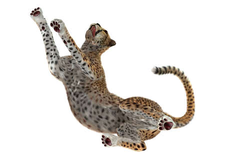 3D rendering of a big cat cheetah isolated on white backgroundの写真素材