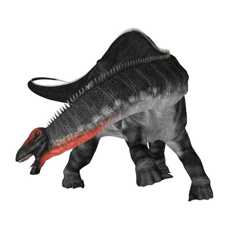 3D rendering of a dinosaur Apatosaurus isolated on white backgroundの写真素材