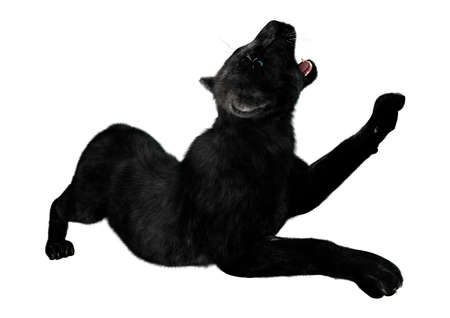 3D rendering of a black panther isolated on white backgroundの写真素材