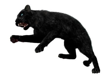 3D rendering of a black panther isolated on white backgroundの写真素材