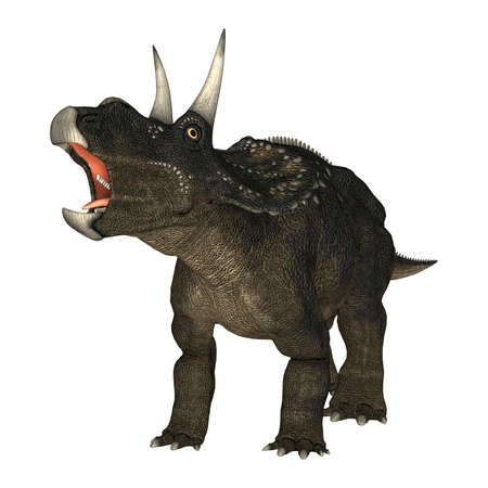 3D rendering of a dinosaur Diceratops isolated on white backgroundの写真素材