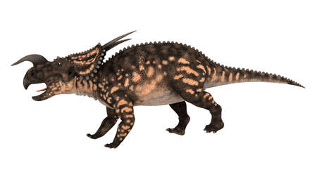 3D rendering of a ceratopsian dinosaur Einiosaurus isolated on white backgroundの写真素材