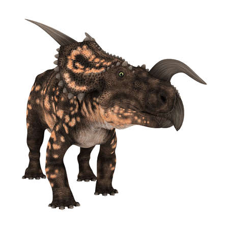 3D rendering of a ceratopsian dinosaur Einiosaurus isolated on white backgroundの写真素材