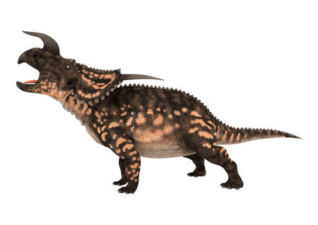 3D rendering of a ceratopsian dinosaur Einiosaurus isolated on white backgroundの写真素材
