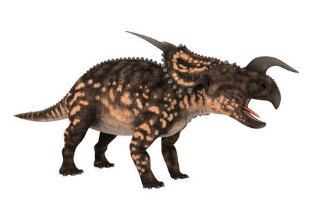 3D rendering of a ceratopsian dinosaur Einiosaurus isolated on white backgroundの写真素材